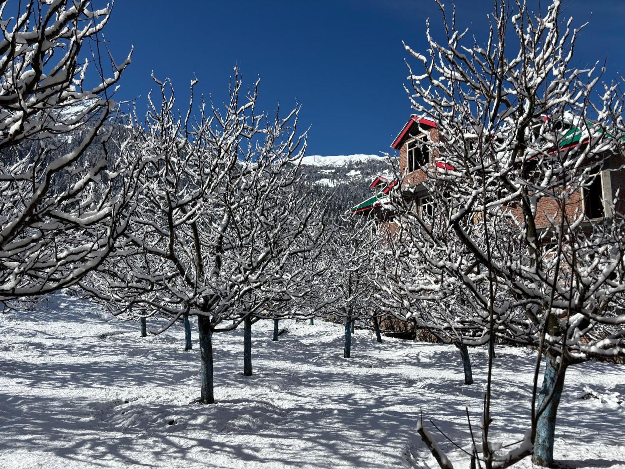 Shalom Guesthouse And Cafe Kalgha Εξωτερικό φωτογραφία