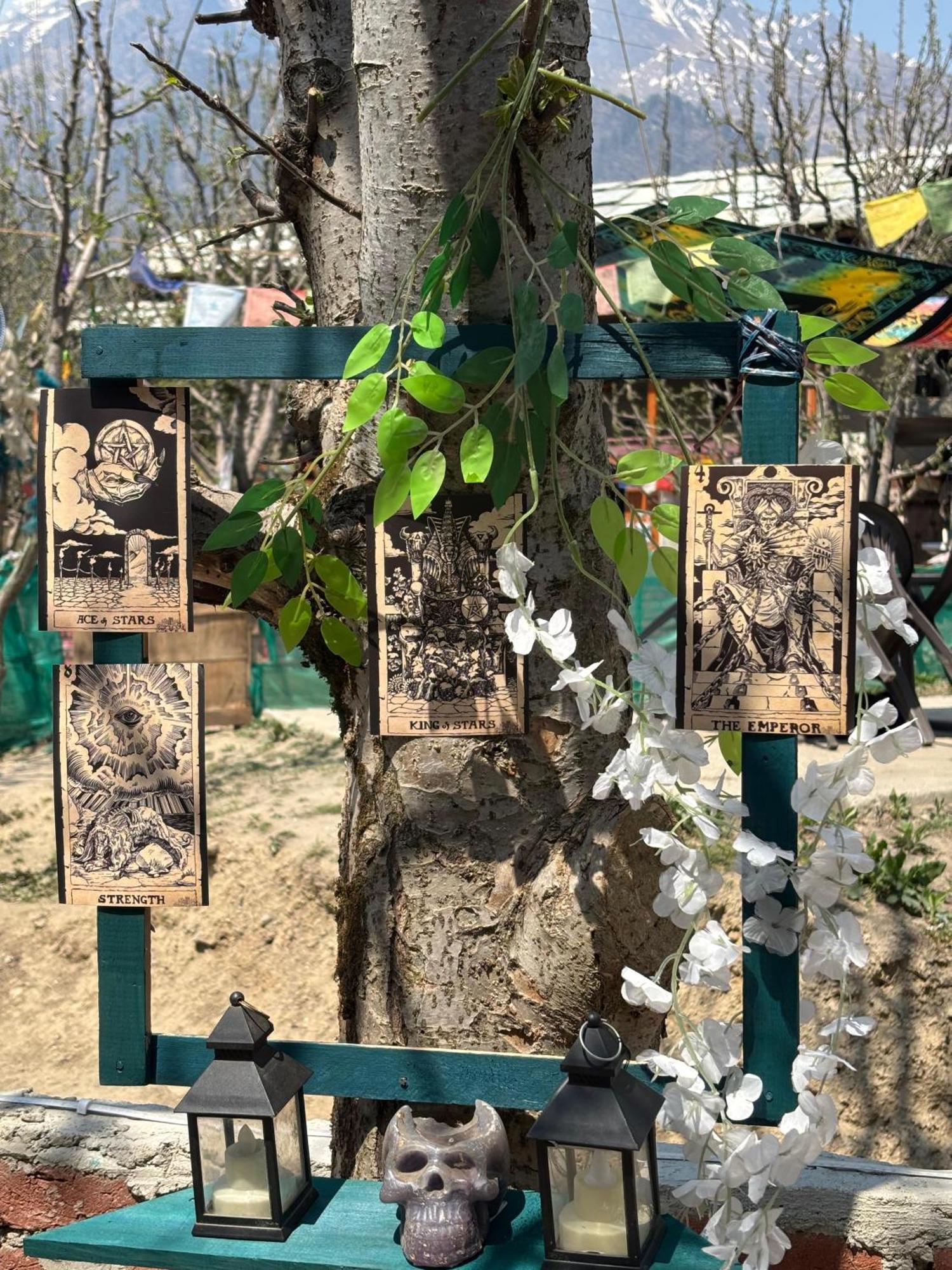 Shalom Guesthouse And Cafe Kalgha Εξωτερικό φωτογραφία